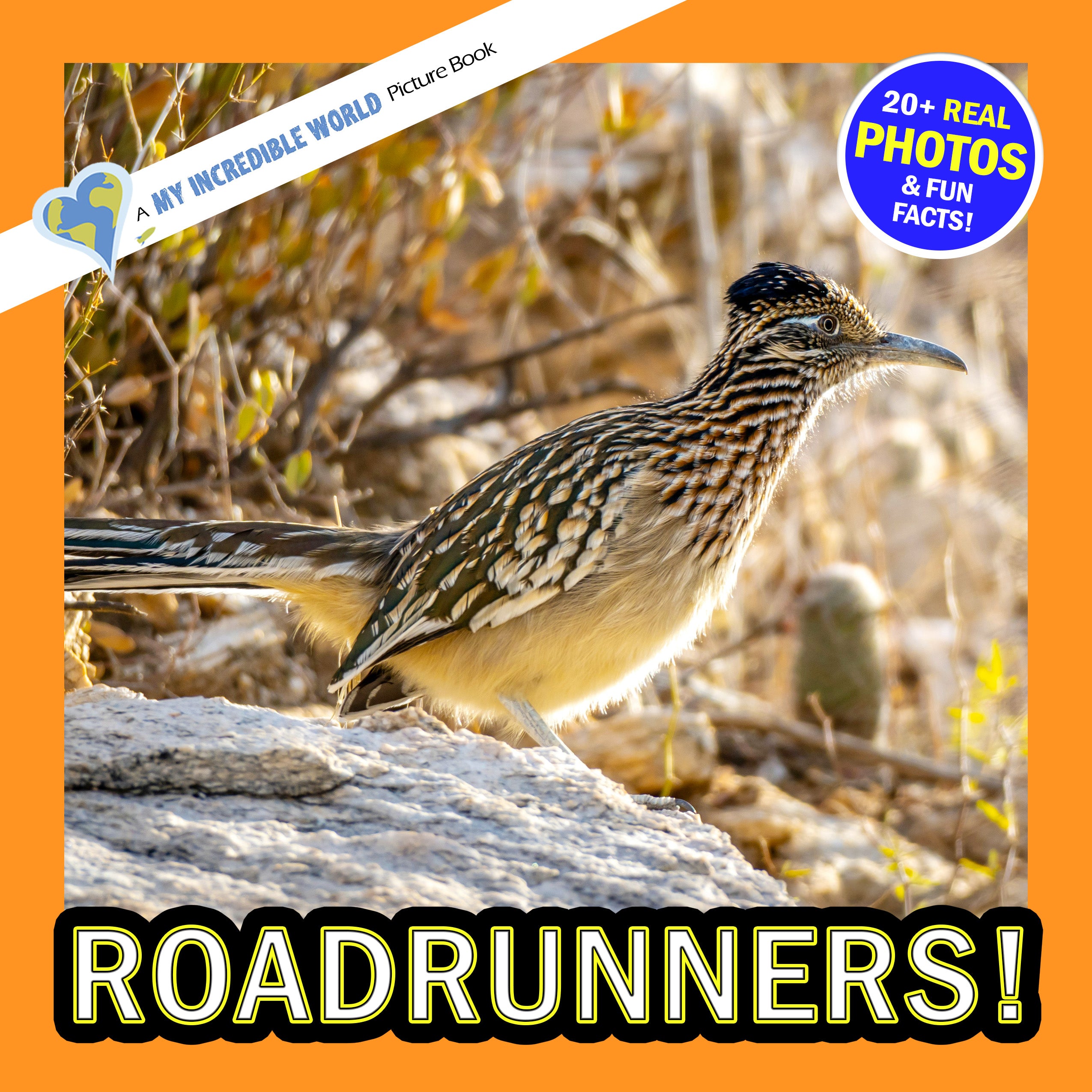 Roadrunners! A My Incredible World Picture Book for Children